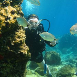 Dalgıç 2 Dalgıç 2